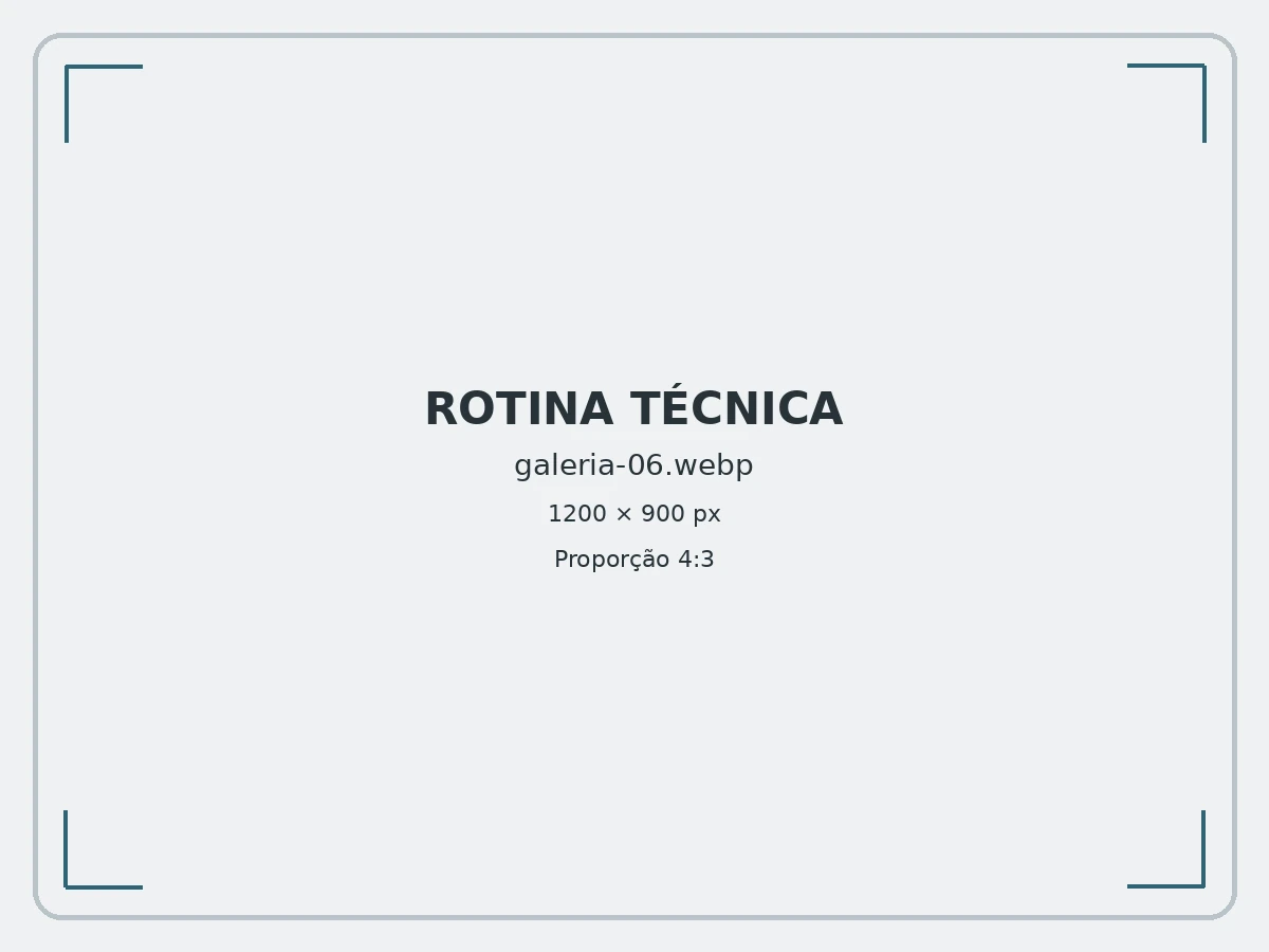 Rotina técnica da Garagem 15 Centro Automotivo